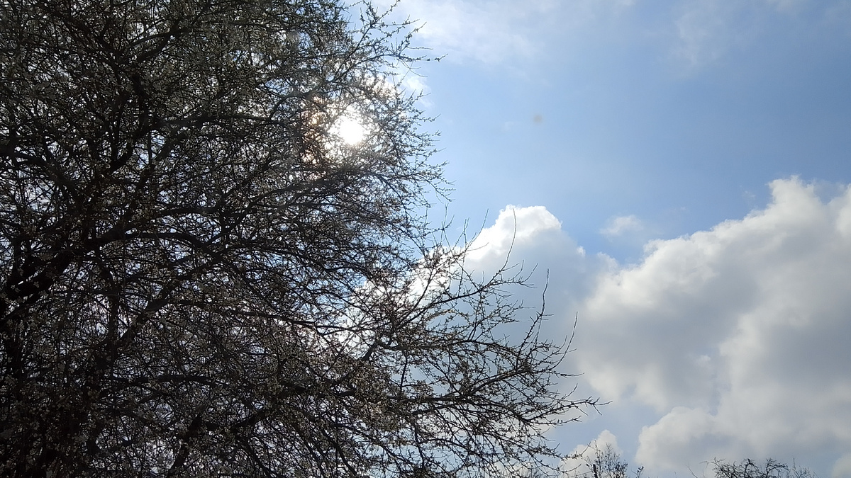 Утро. Фото личное.