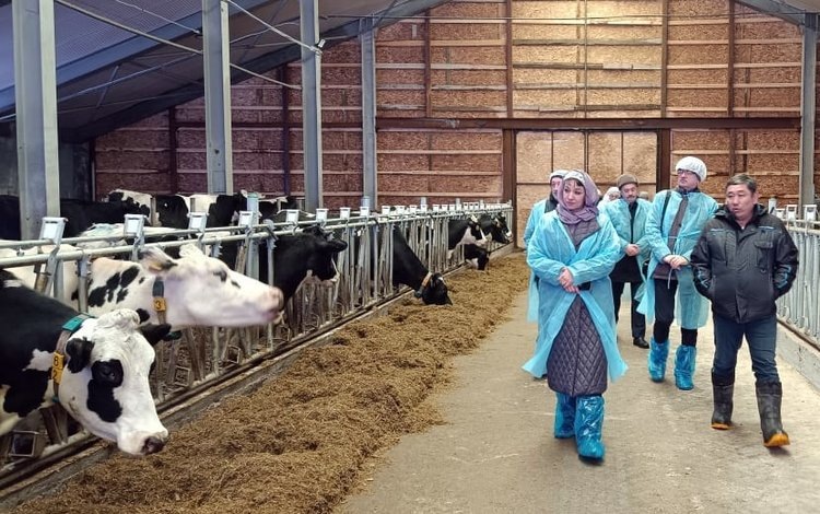    Как устроена чудо-ферма Свердловской области