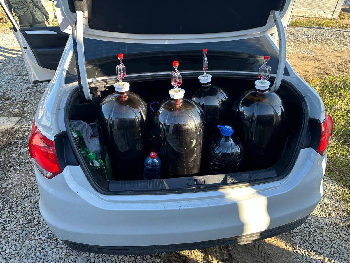 Фото: telegram-канал главы Новороссийска Андрея Кравченко