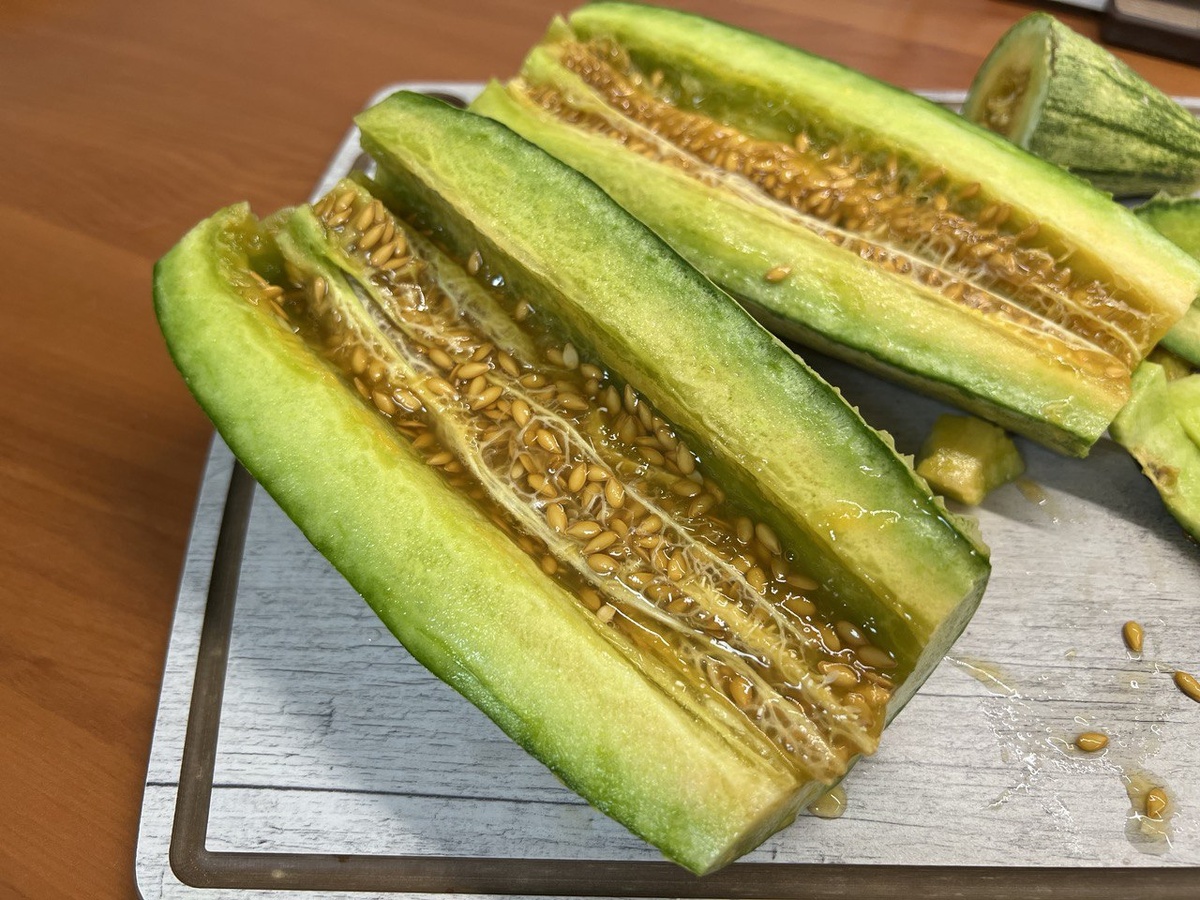 Созревшая огурдыня. Фото автора канала Дом с кипарисами