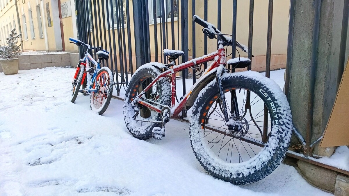     Источник: 1MI