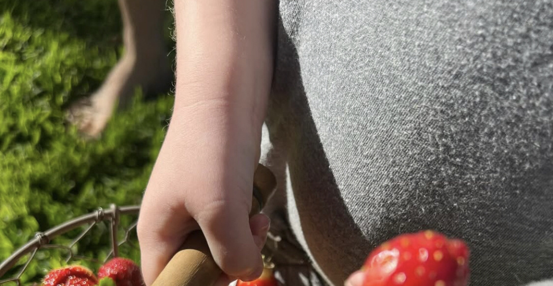 нога Лили и кисти Арчи?