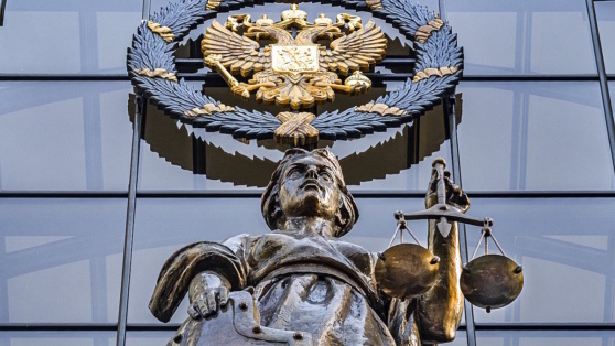    Лишать свободы на срок до 5 лет предлагают за дискредитацию армии и призывы к санкциям против РФ ©Konstantin Kokoshkin/Global Look Press