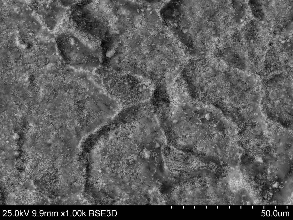    Фото: naked-science.ru Георгий