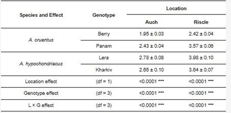     В мировую амарантовую гонку вступает Франция

