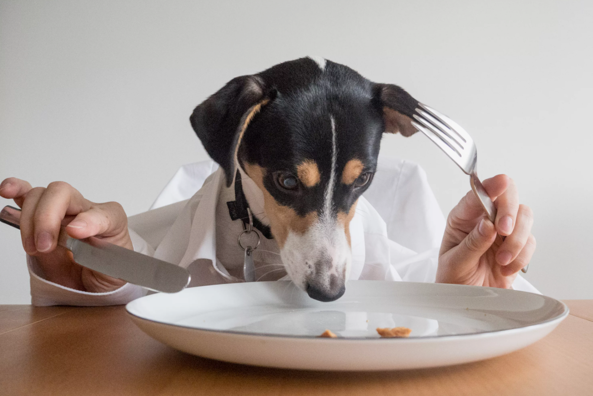 - Таак, что сегодня на обед?