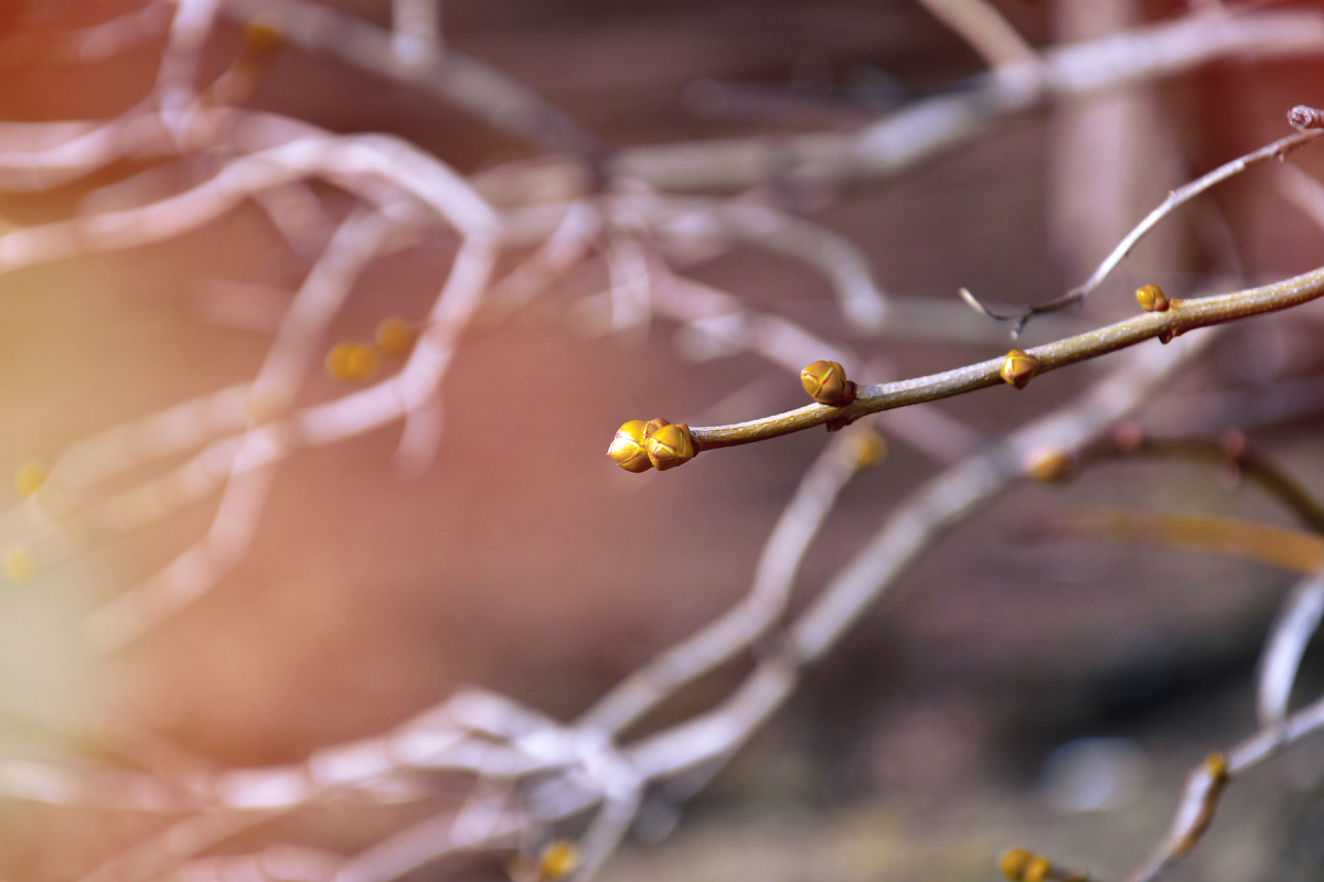 Копирование текста и фотографий запрещено. Контент является интеллектуальной собственностью. Защищён авторским правом.