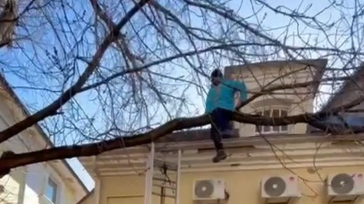    Фото: пресс-служба Росгвардии Москвы