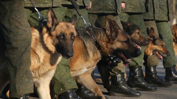    © Photo : Telegram / Министерство обороны Республики Беларусь
