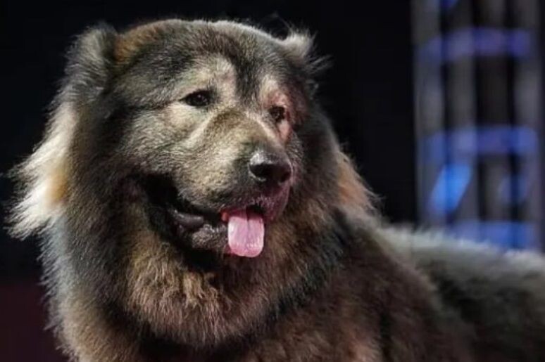     / Источник: Кадр из видео