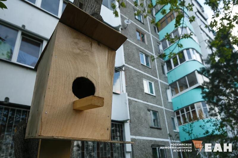    Архивное фото ЕАН