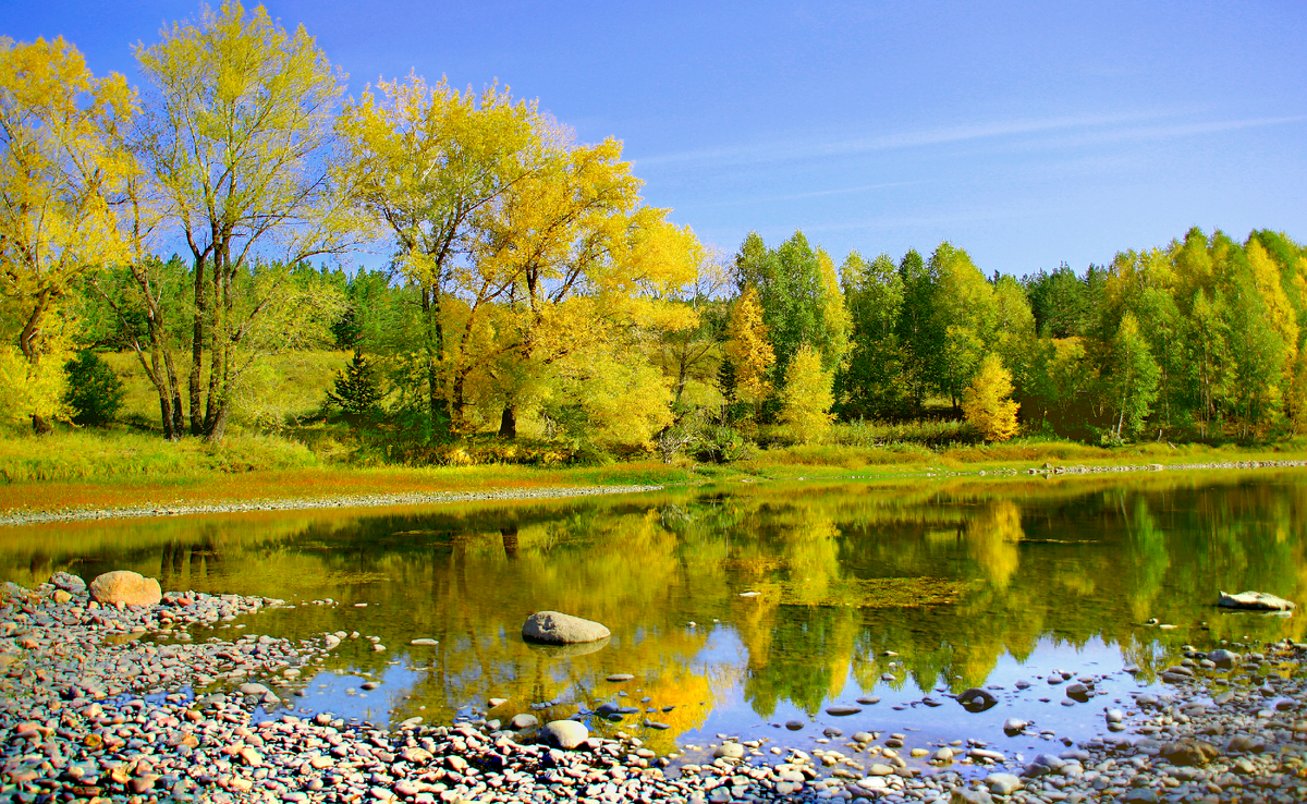 Фотография, стихотворение Василия Глуцкого
