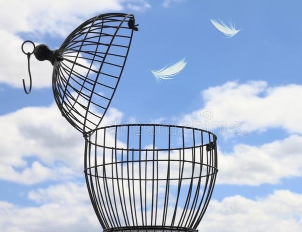 Картинка из Интернета