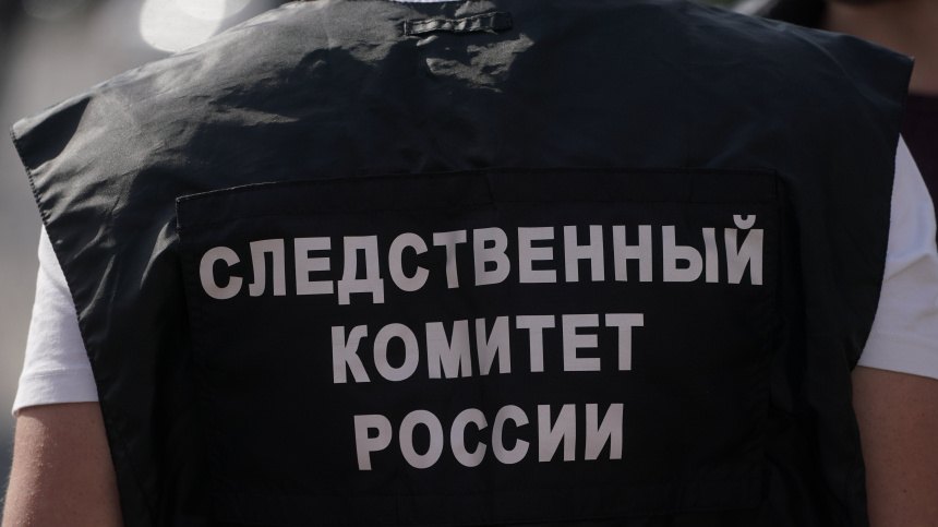    Фото: ИЗВЕСТИЯ/Эдуард Корниенко