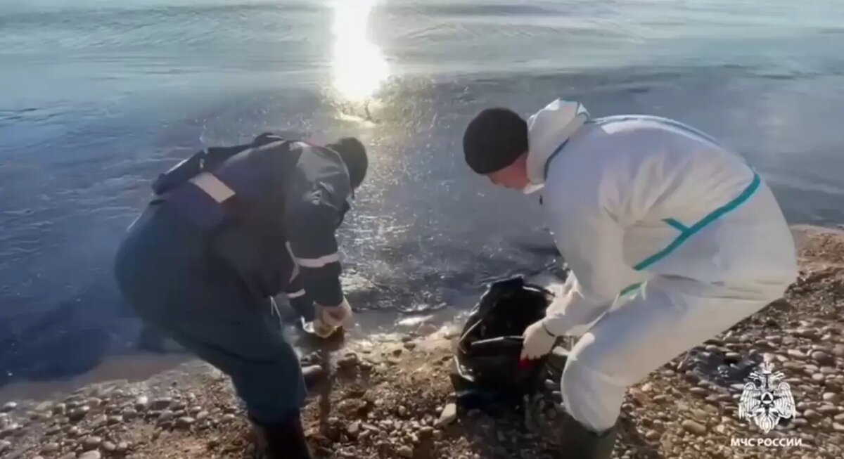    Фото: стоп-кадр видео МЧС России