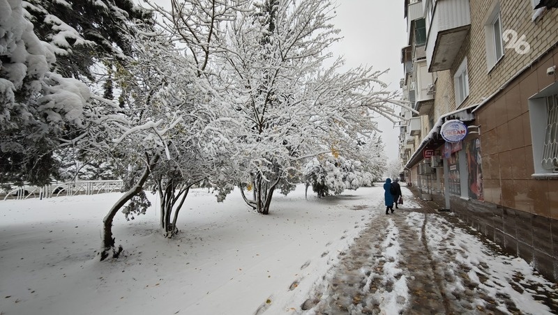      Фото: Дмитрий Ахмадуллин / / ИА «Победа26»