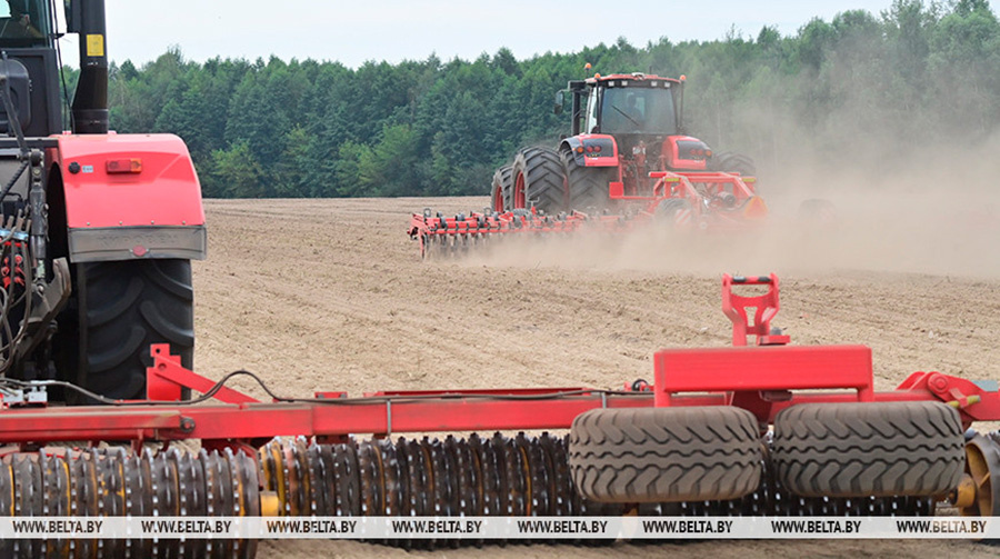     План сева ранних яровых зерновых и зернобобовых в Беларуси выполнен почти на 11%