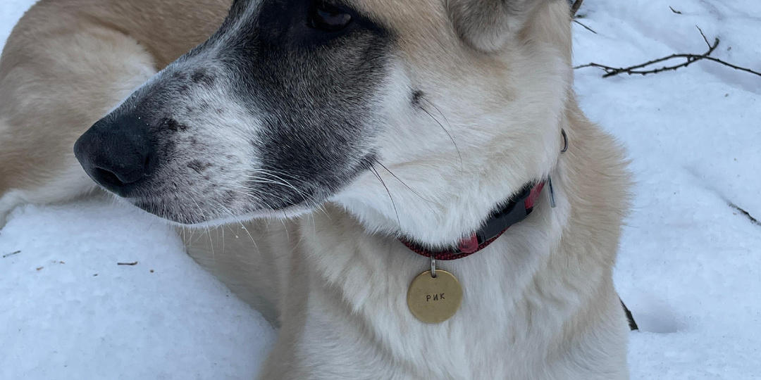 Рик был домашним всю свою жизнь