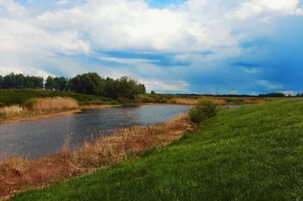    Новая особо охраняемая природная территория появится в Воронежской области
