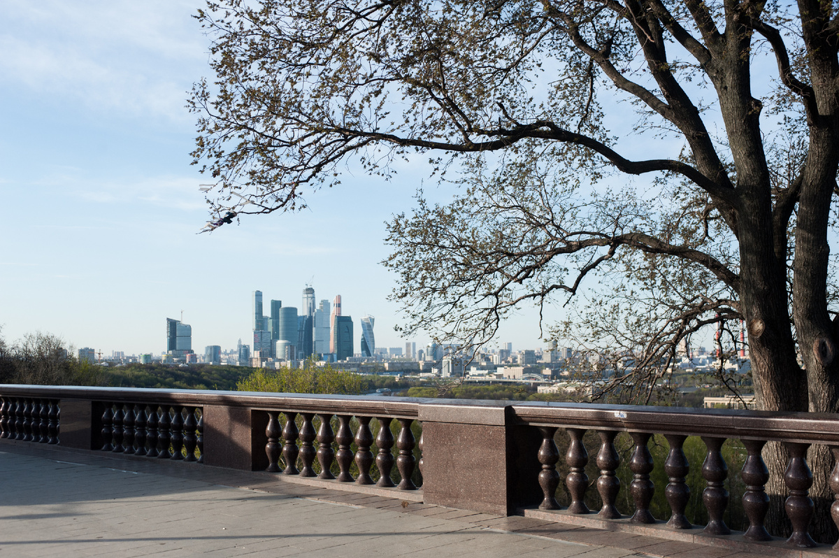 Смотровая площадка на Воробьевых горах. Фото: Москва 24/Игорь Иванко