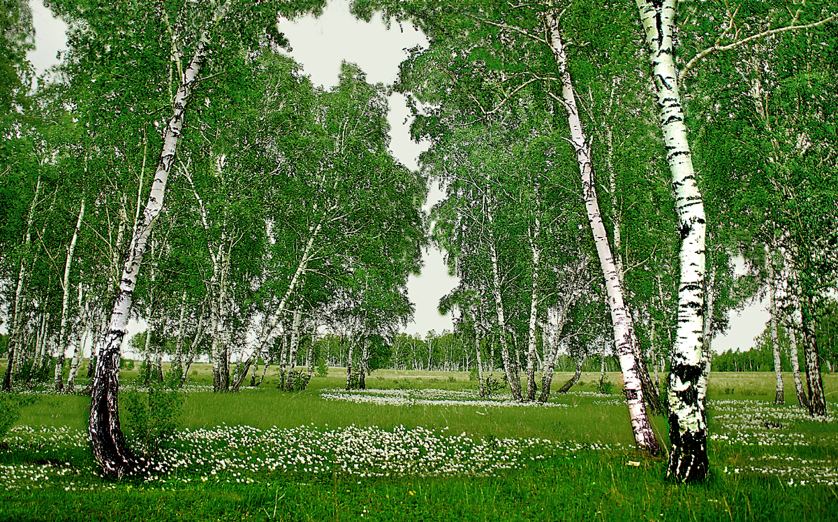 Фотография, стихотворение Василия Глуцкого