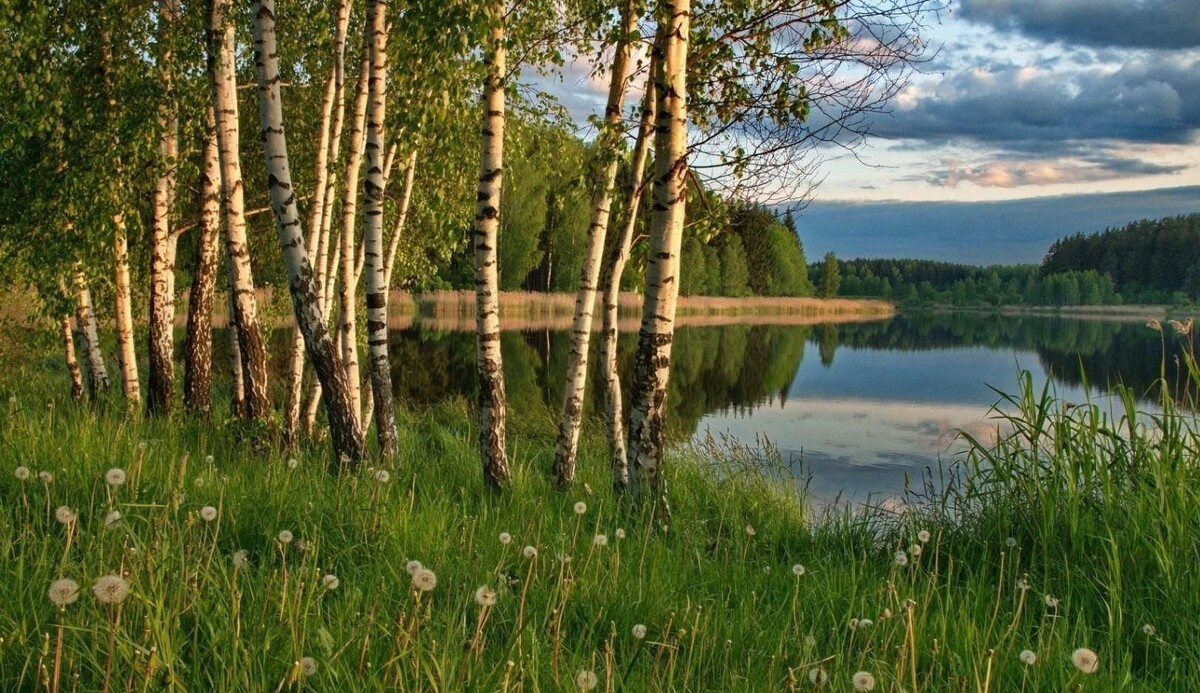 Яндекс. Картинки