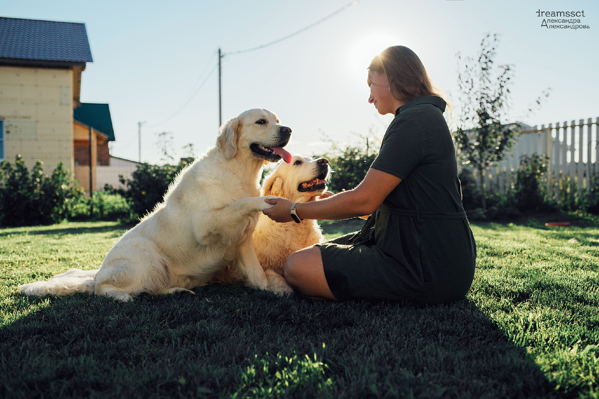 Все команды должны произноситься четко и громко, но без агрессии. Собаки легко понимают интонацию. Нельзя допускать, чтобы услышав команду "Фу" собака пугалась вас