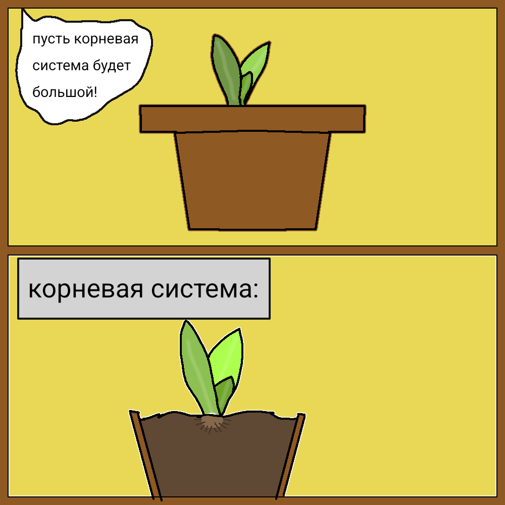 Сегодня купал растение 