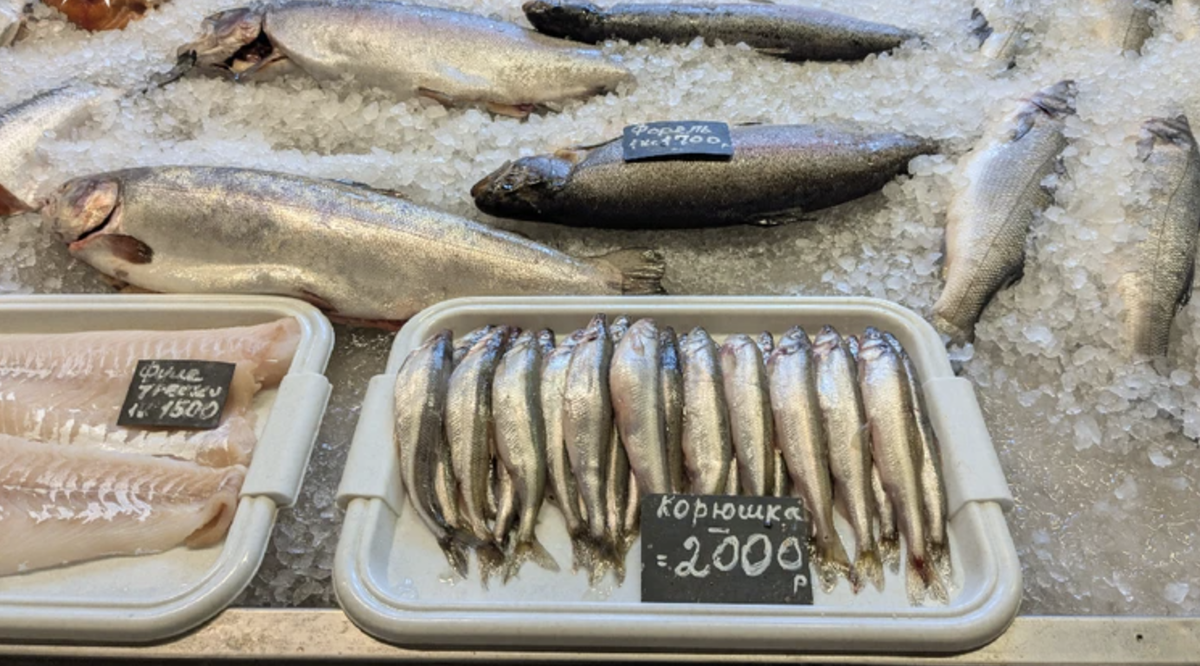 Автор снимка: Виктор Гусейнов