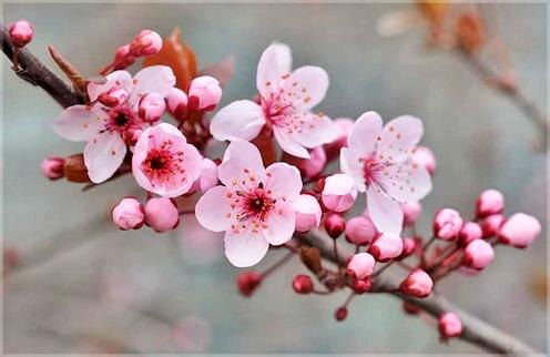 Фото с сайта yelaket.am