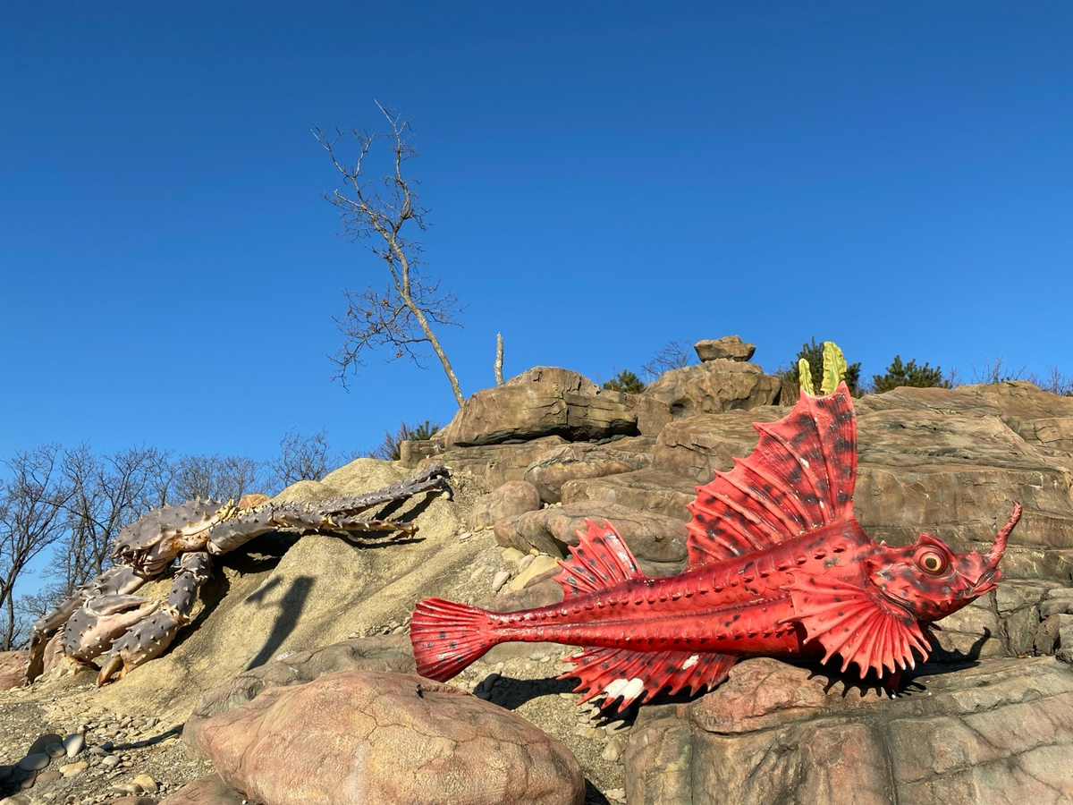 Возле Главного корпуса такая красота расположена :)