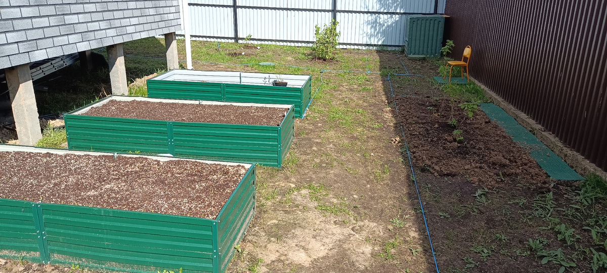 Грядки в прошлом году, начало. Уже год ждут своих посетителей.