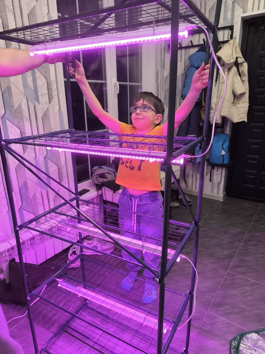 Миша собирает домашний парник.