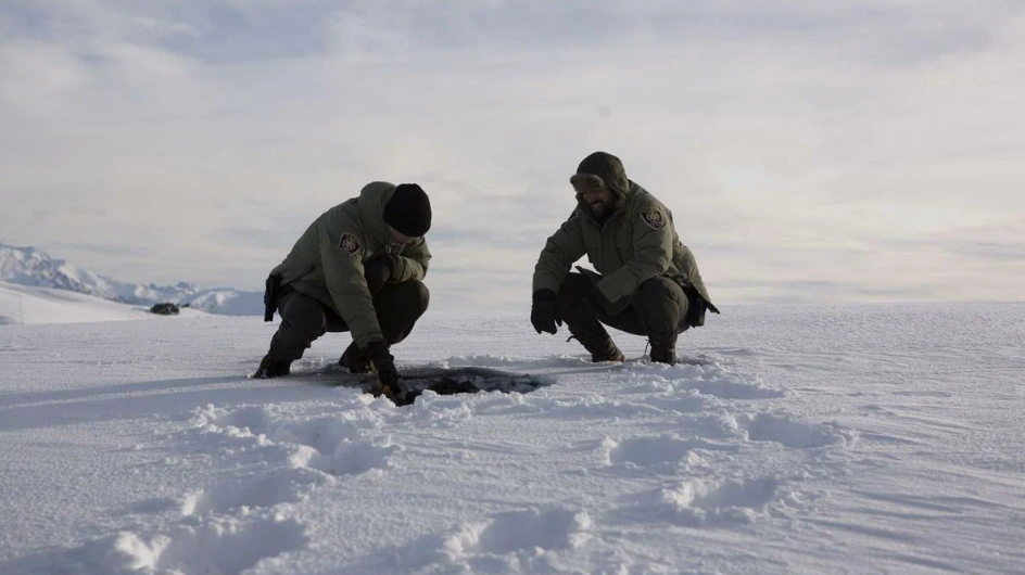 Кадр из фильма