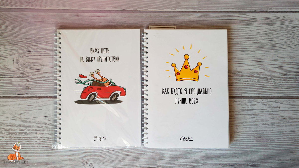 Новый ежедневник и мой текущий ежедневник за период с ноября по март 2025