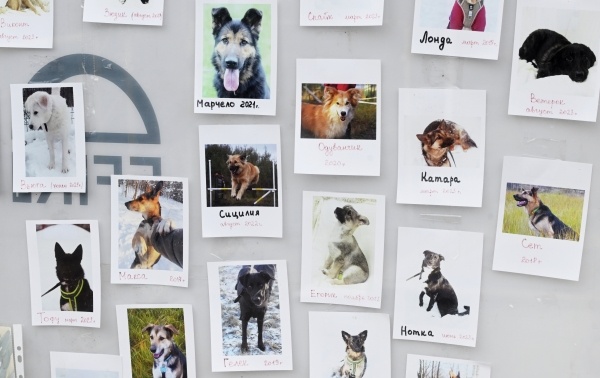 Фото: РИА Новости/Михаил Воскресенский