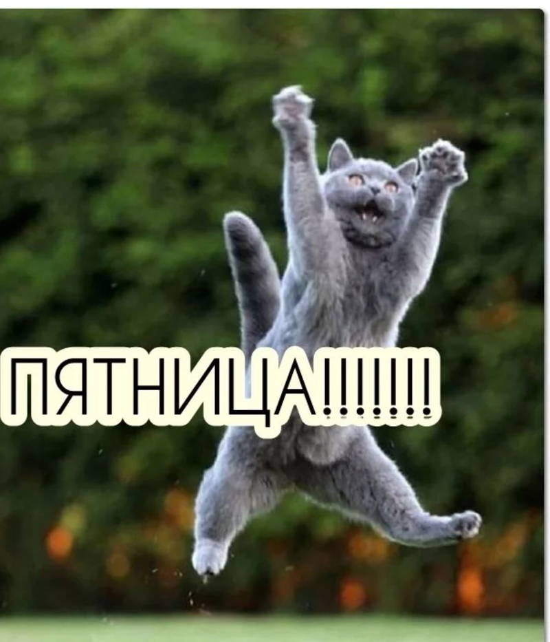 Источник: https://m.sprashivalka.com/user_media/e74/d2b/860/06fa9.jpg