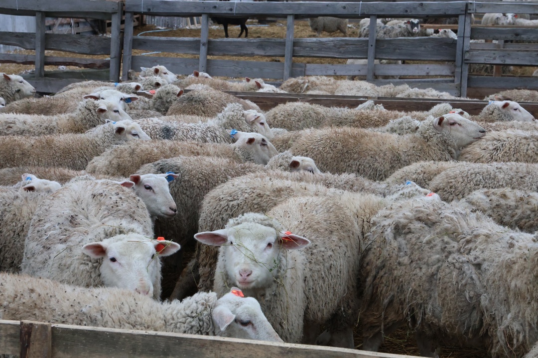 Создать карусельДобавьте описание