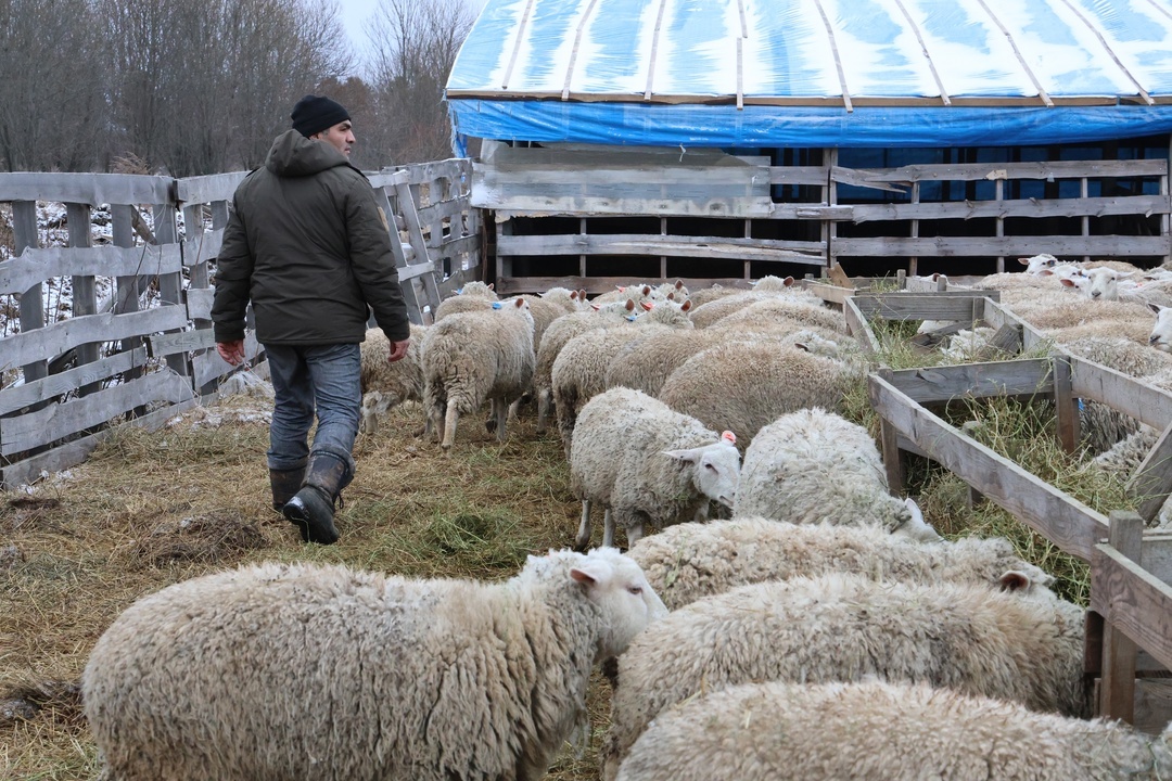 Создать карусельДобавьте описание