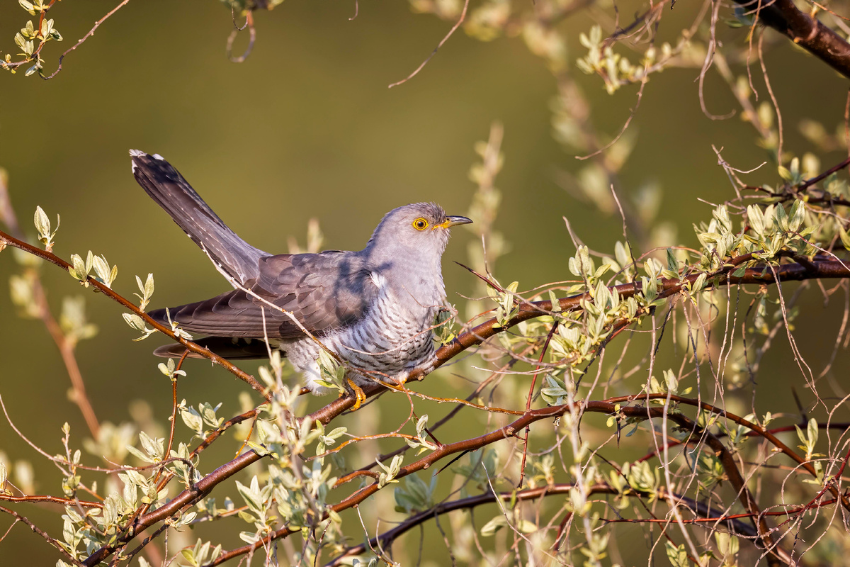 фото: Hinsche/http://imagebroker.com/#/search//Global Look Press