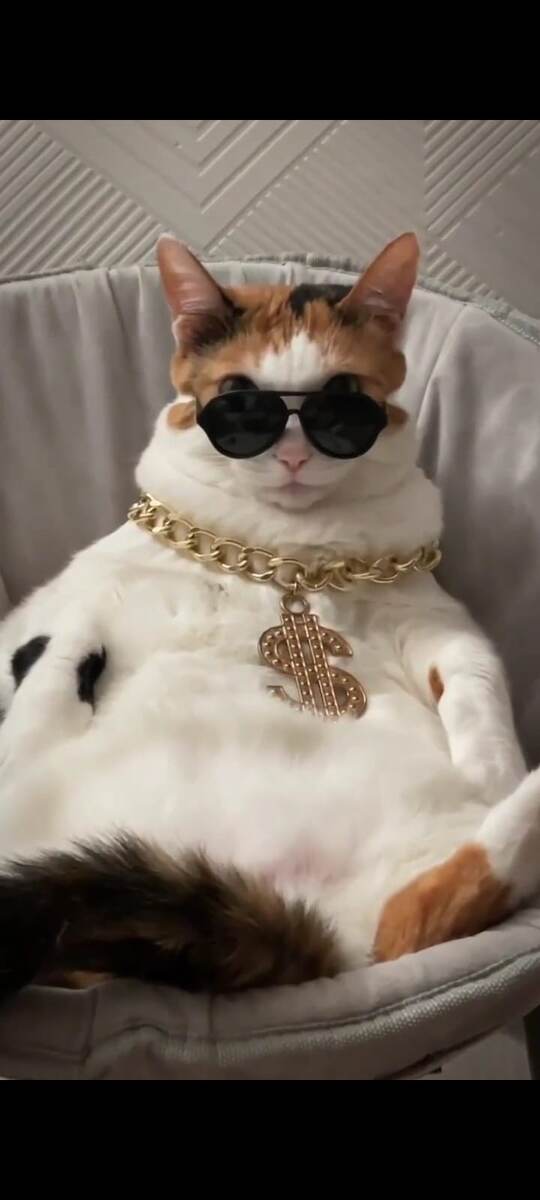 Да прибудет с Вами удача при проверках)