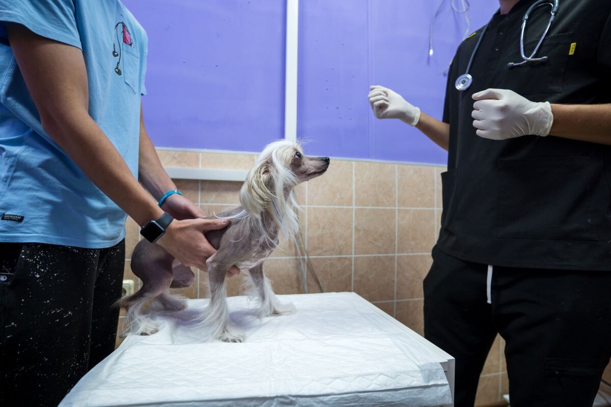 Фото: Александр Плонский / «ВиЖ»