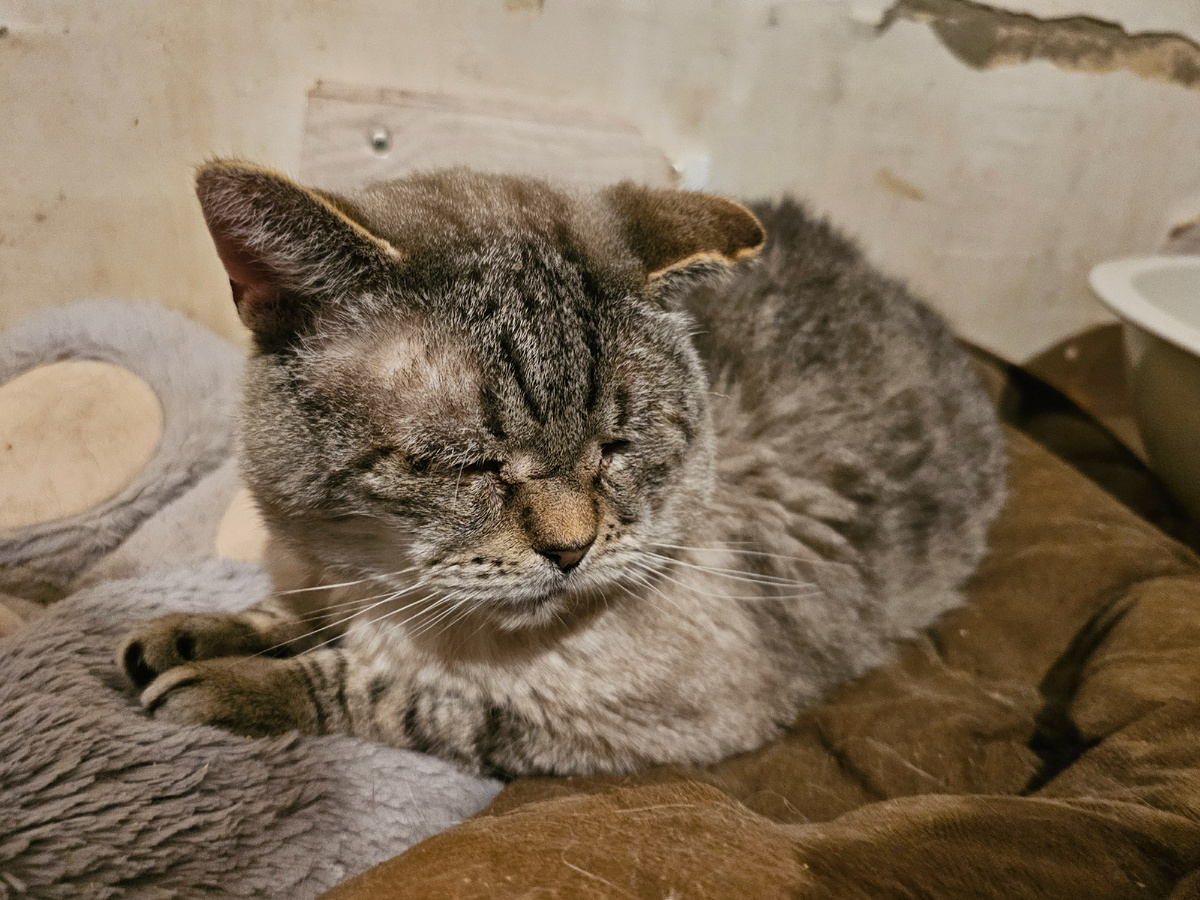 Фото автора. Мордатый дед.