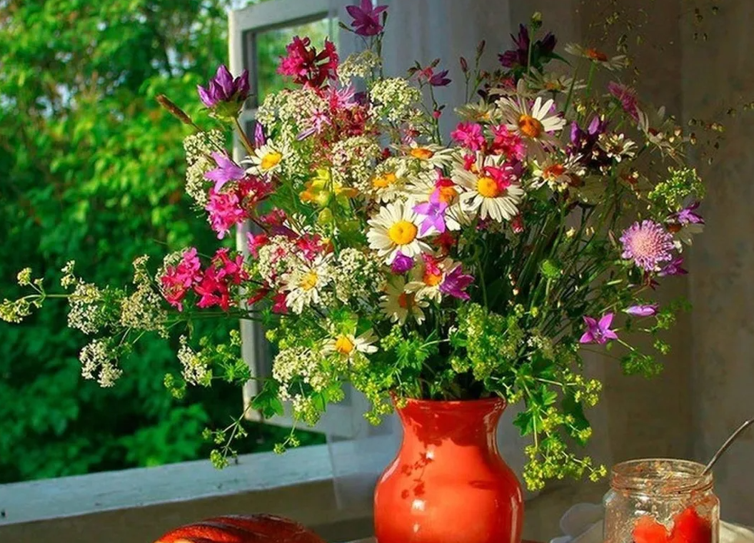 Яндекс картинки