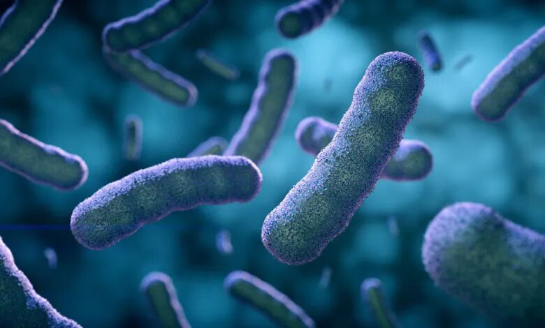 источник фото https://new-science.ru/wp-content/webp-express/webp-images/doc-root/wp-content/uploads/2021/10/23245-1-780x470.jpg.webp