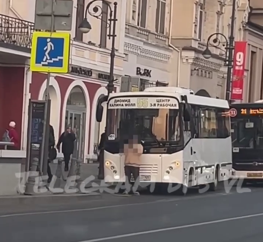 Скриншот телеграм-канал DPS VL