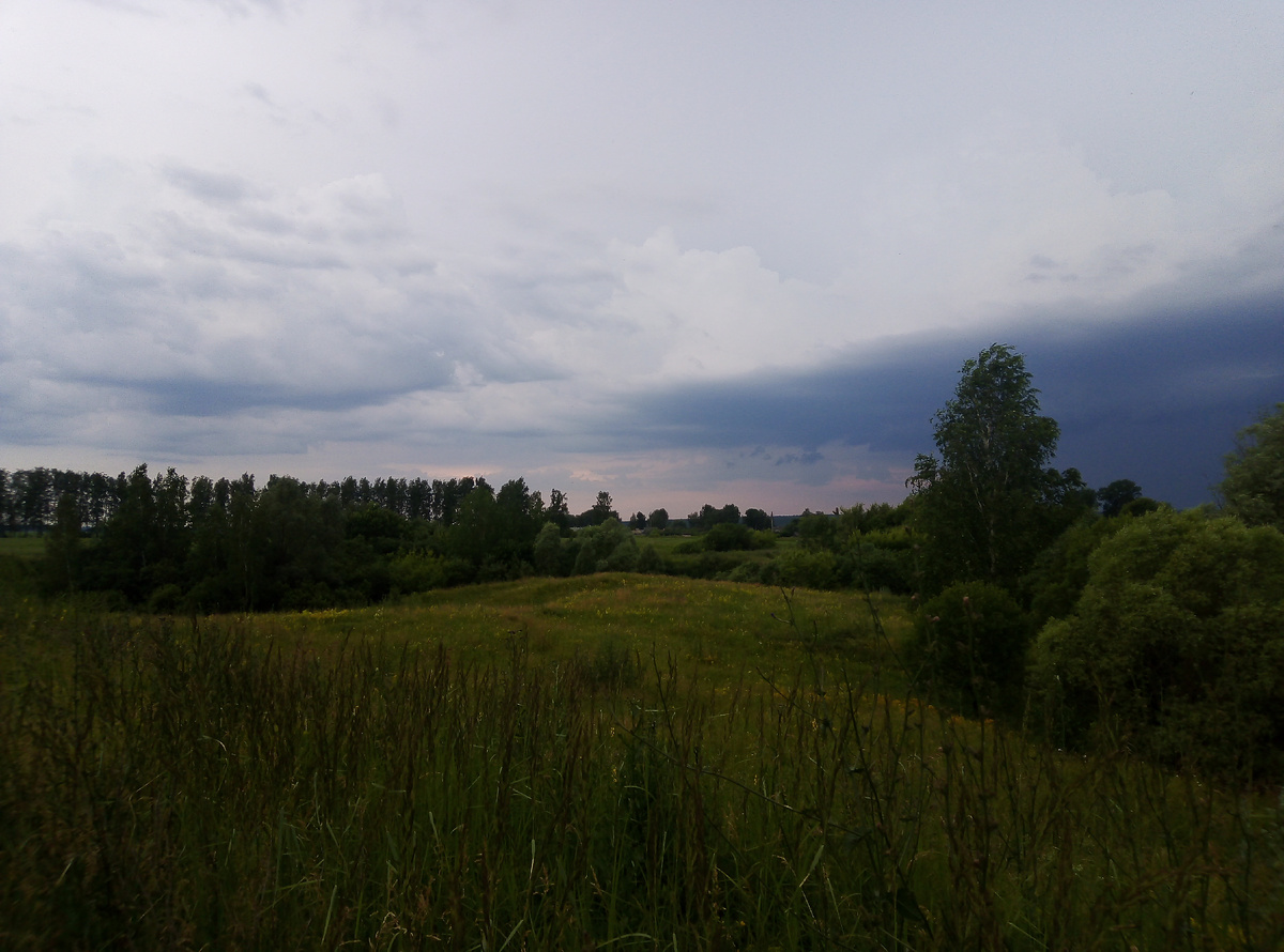 личное фото автора