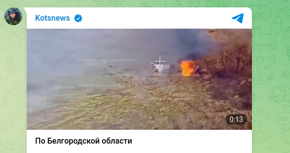    Скриншот: Telegram/Kotsnews