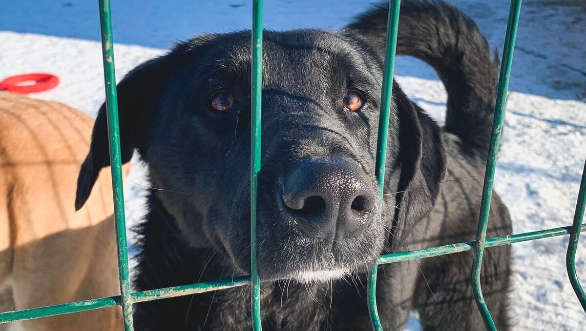     Источник: 1MI