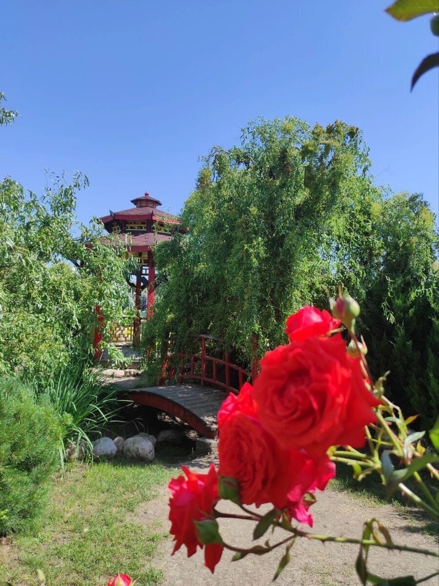     Автор: читатели Источник: rostovgazeta.ru